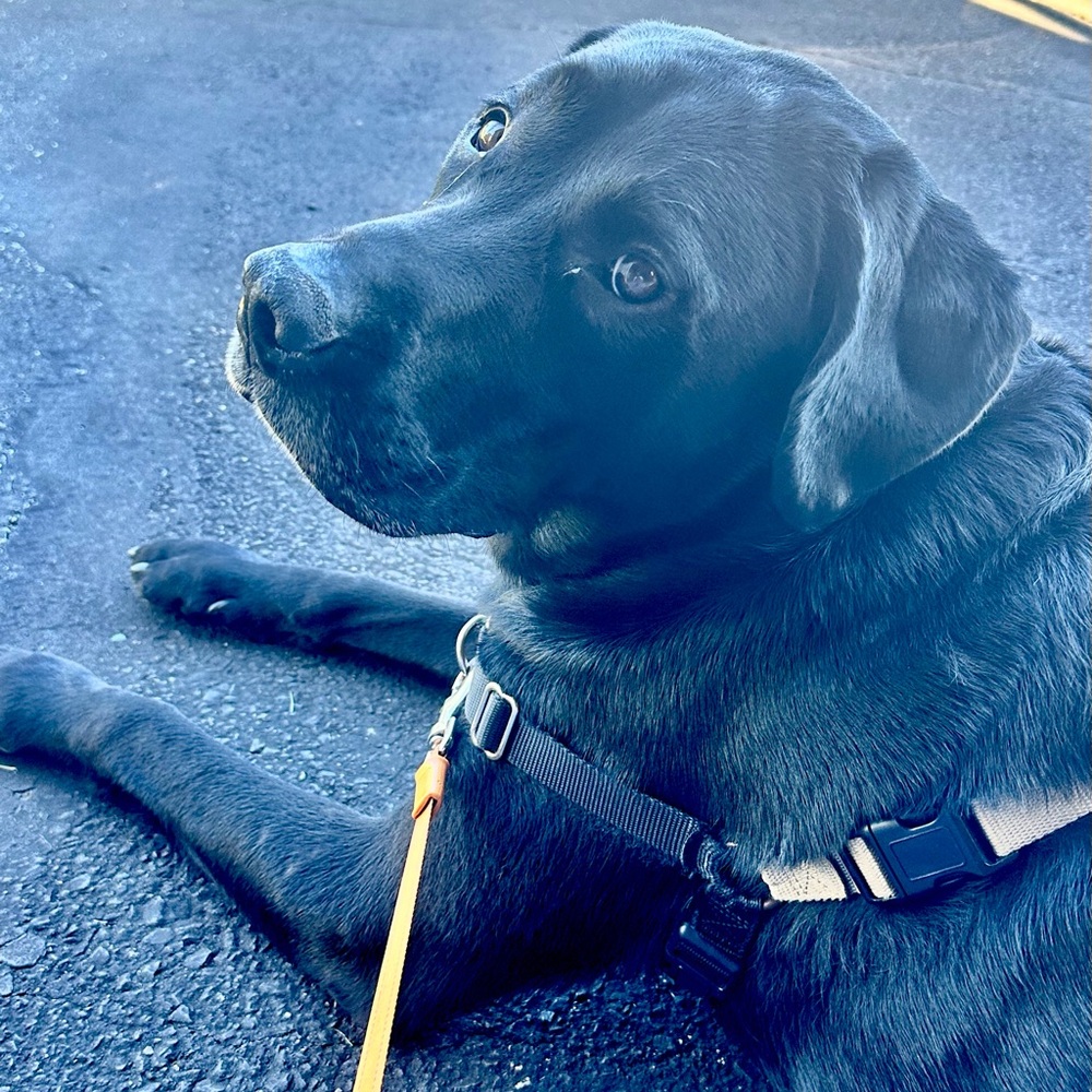 Meet your Posher, Sujata